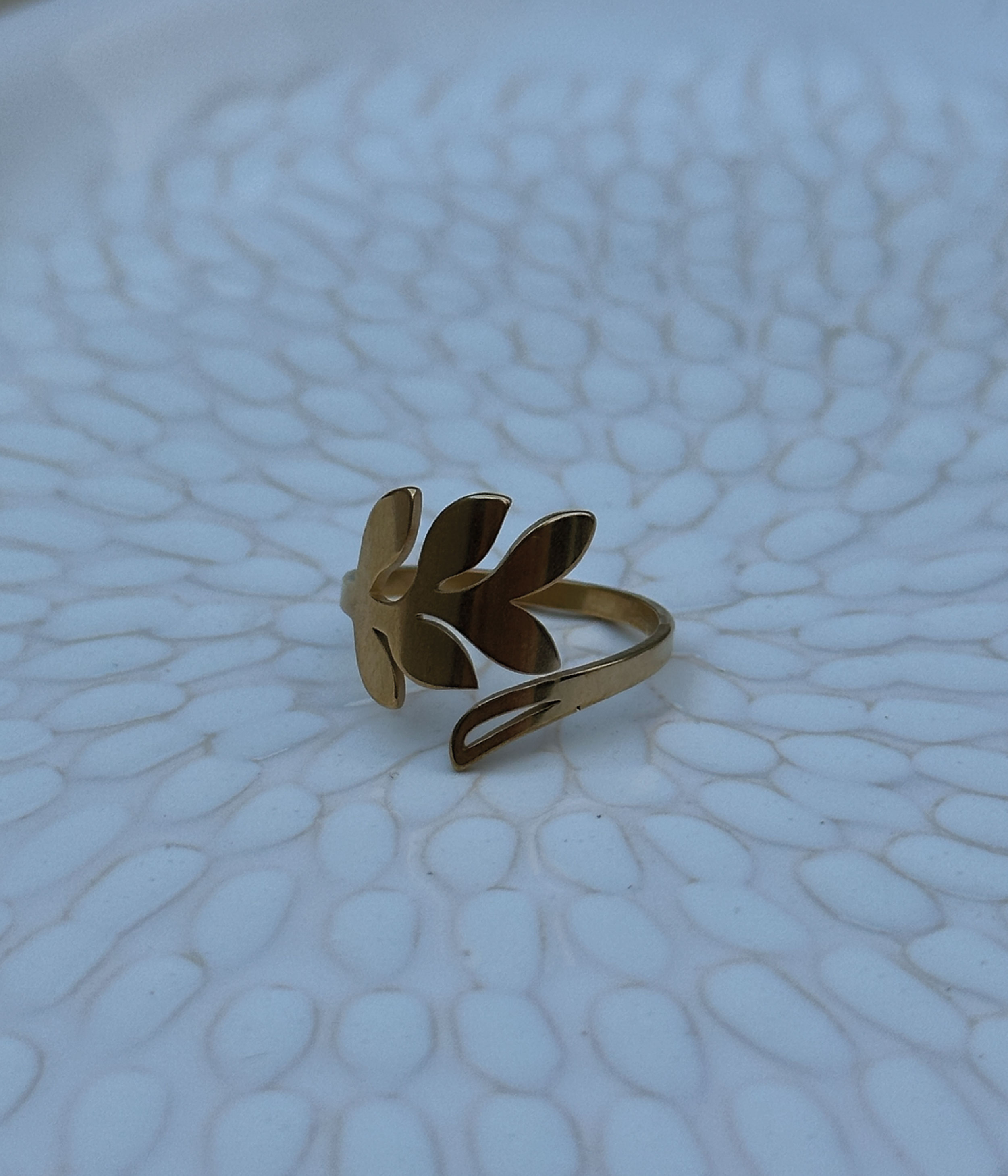 Anillo Lima